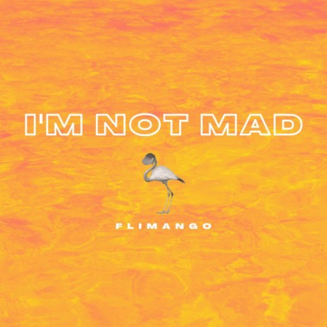 I'M NOT MAD | Boomplay Music