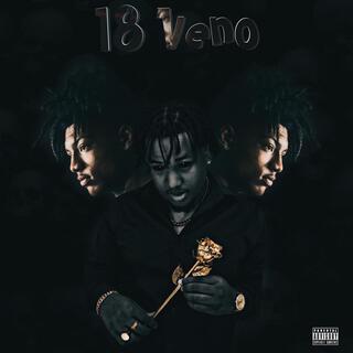 18 Veno