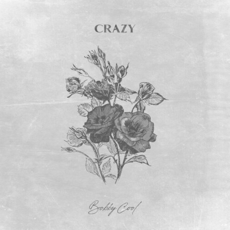 Crazy (Acoustic) | Boomplay Music