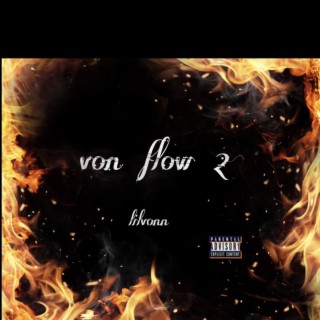 Von Flow 2