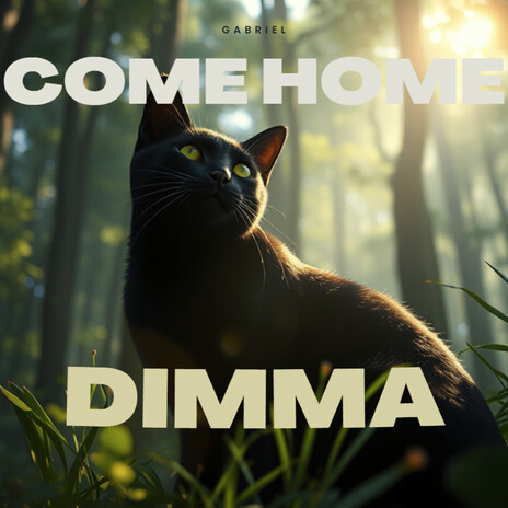 Come Home Dimma | Boomplay Music