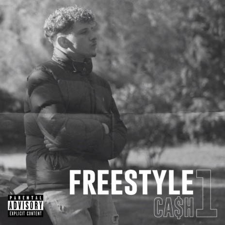 Freestyle C A $ H 1 | Boomplay Music