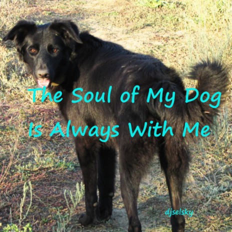 The Soul of My Dog Is Always with Me