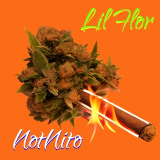 Lil Flor lyrics | Boomplay Music