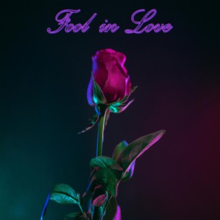 Fool in Love (Radio Edit) ft. Mary Dee lyrics | Boomplay Music