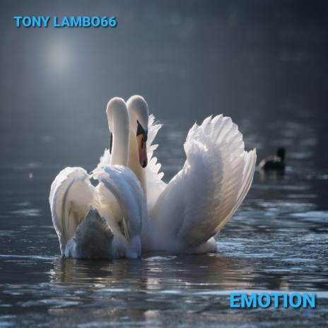 Emotion | Boomplay Music