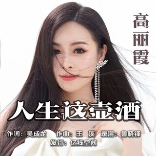 人生这壶酒 lyrics | Boomplay Music