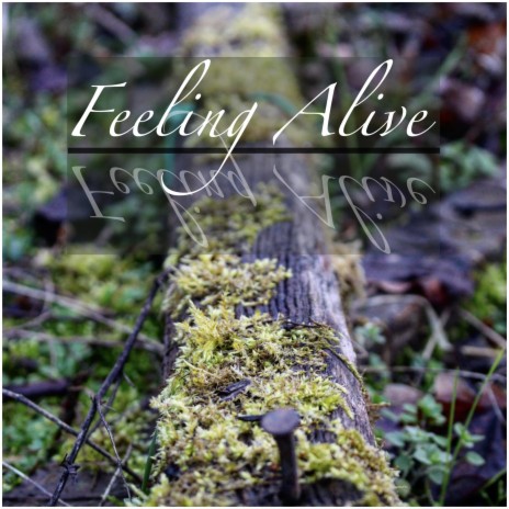 Feeling Alive | Boomplay Music