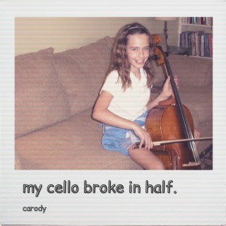 my cello broke in half: a saga