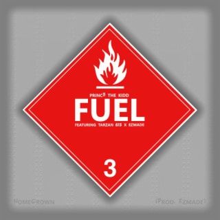 Fuel