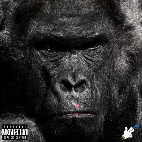 Gorilla Mode | Boomplay Music