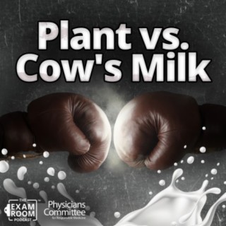 Nondairy vs. Cow's Milk: Micros, Macros, and Your Health | Dr. Anna Herby