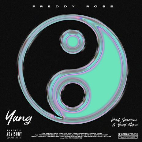 YANG | Boomplay Music