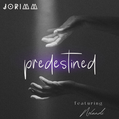 Predestined ft. Nolundi | Boomplay Music