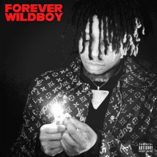 Download K Hus album songs FOREVER WILDBOY Boomplay Music