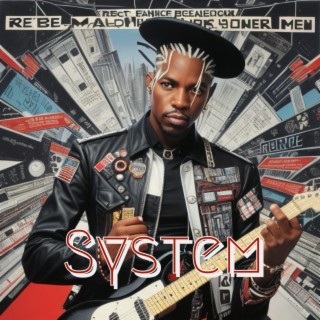 System