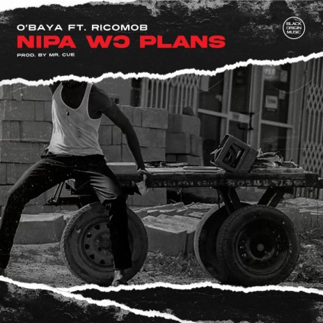 Nipa Wo Plans ft. Ricomob | Boomplay Music