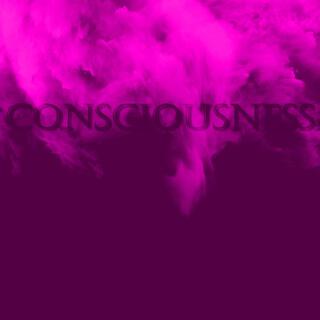 Consciousness I