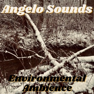 Environmental Ambience