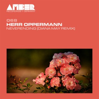 Herr Oppermann