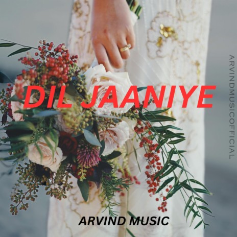 DIL JAANIYE | Boomplay Music