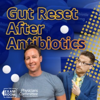 Resetting Your Gut After Antibiotics | Dr. Will Bulsiewicz
