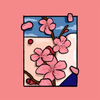 Hanami