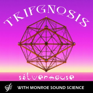 Tripgnosis