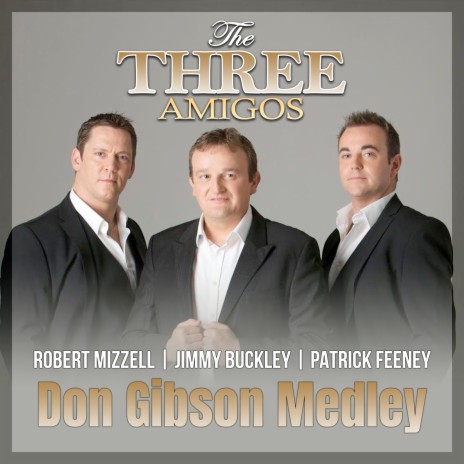 Don Gibson Medley | Boomplay Music