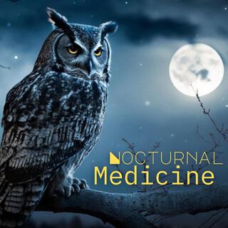 Slow Medicine: Nocturnal, Cozy Night with Native Flute for Sleep and Deep Meditation