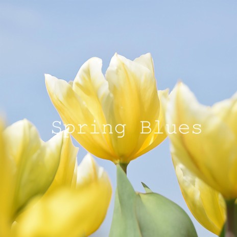 Spring Blues | Boomplay Music