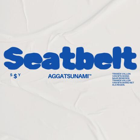 seatbelt | Boomplay Music