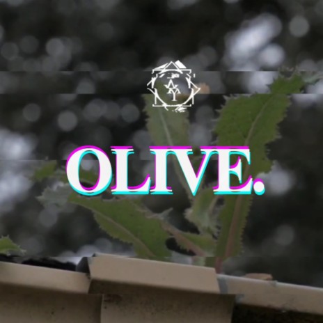 OLIVE | Boomplay Music