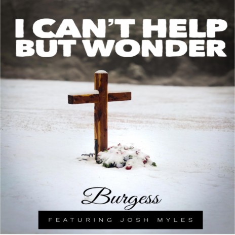 I Can't Help But Wonder ft. Josh Myles | Boomplay Music