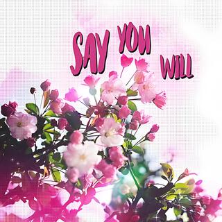 Say You Will