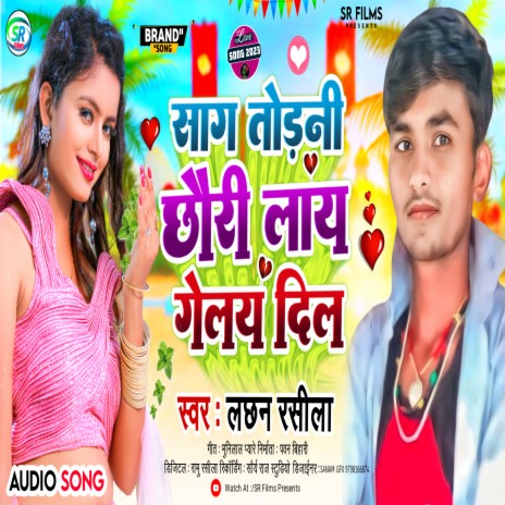 Saag Torni Chhauri Lai Gelai Dil (Maithili) | Boomplay Music