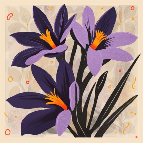 saffron flowers | Boomplay Music