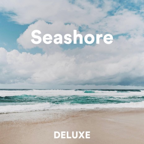 Seashore | Boomplay Music