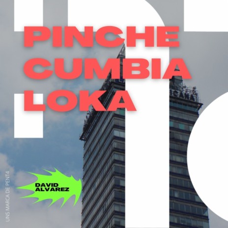 Pinche Cumbia Loka | Boomplay Music