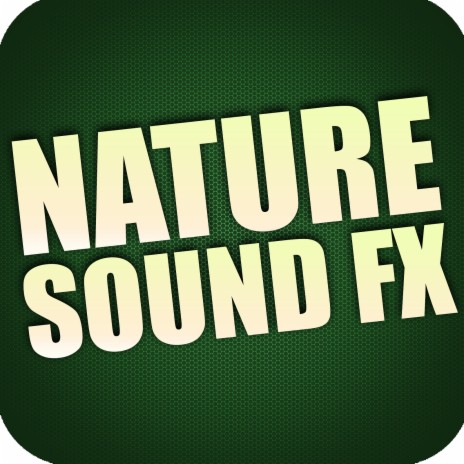 Download Free Wind Sound Effects