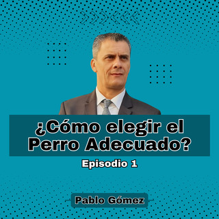 Cómo elegir el Perro Adecuado. Episodio 1