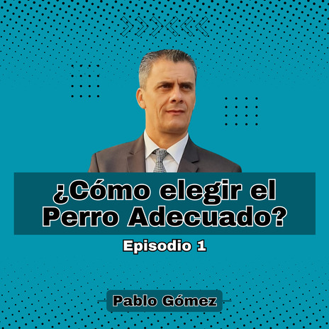 Cómo elegir el Perro Adecuado. Episodio 1 | Boomplay Music