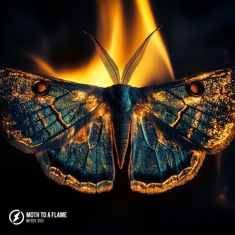 Moth To A Flame ft. DVO | Boomplay Music