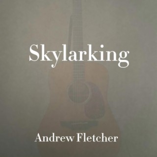 Skylarking