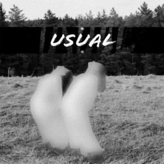 Usual ft. B2ntl3y lyrics | Boomplay Music