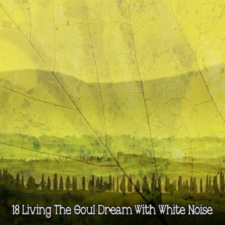 18 Living The Soul Dream With White Noise