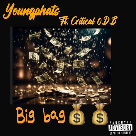 Big bag ft. Critical O.D.B | Boomplay Music