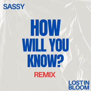 How Will You Know? (Sassy Remix)