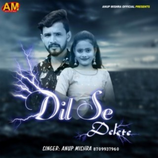 Dil Se Delete