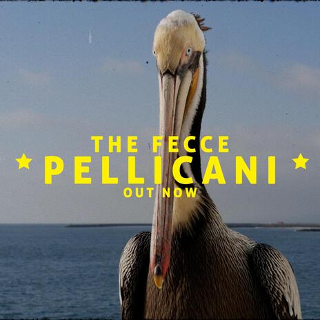 Pellicani